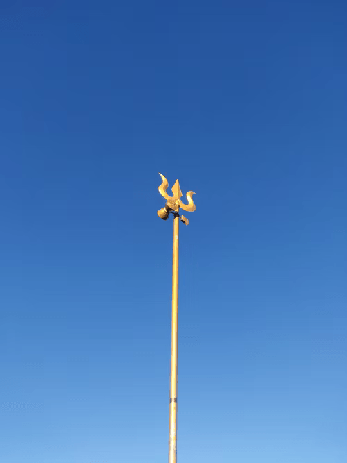 image 40
