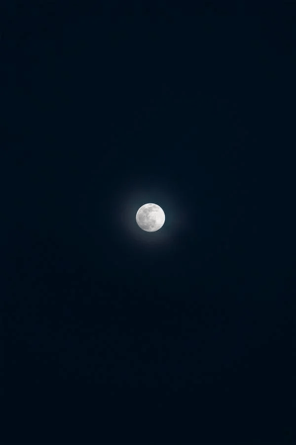 image 95