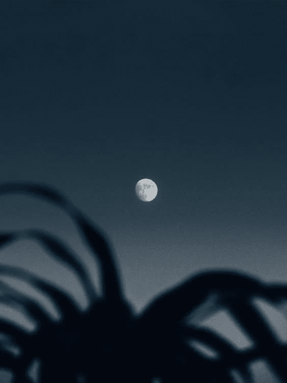 image 96